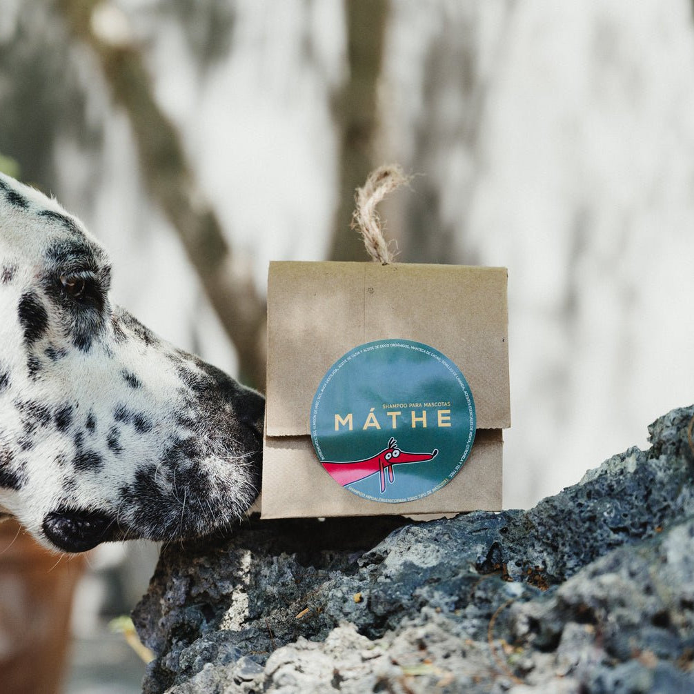 Productos de higiene natural para mascotas