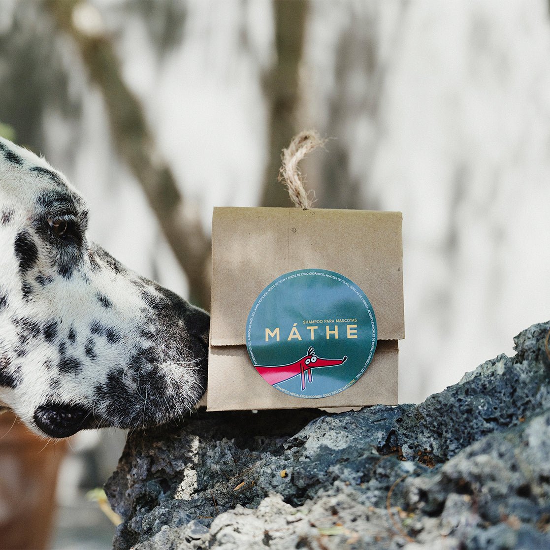 Champú para mascotas - Mathe Lab España