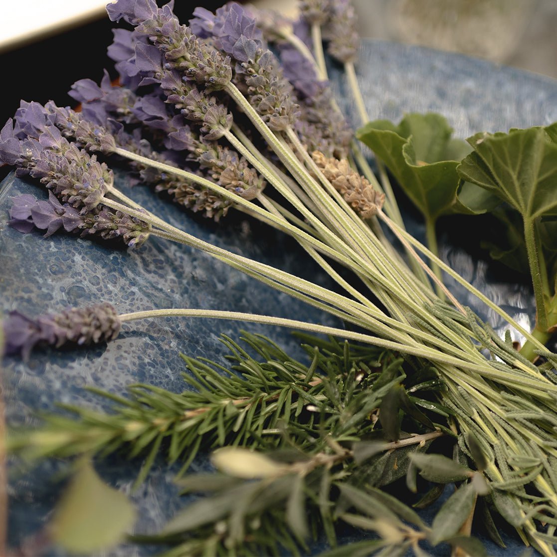 Crema hidratante de lavanda - Mathe Lab España