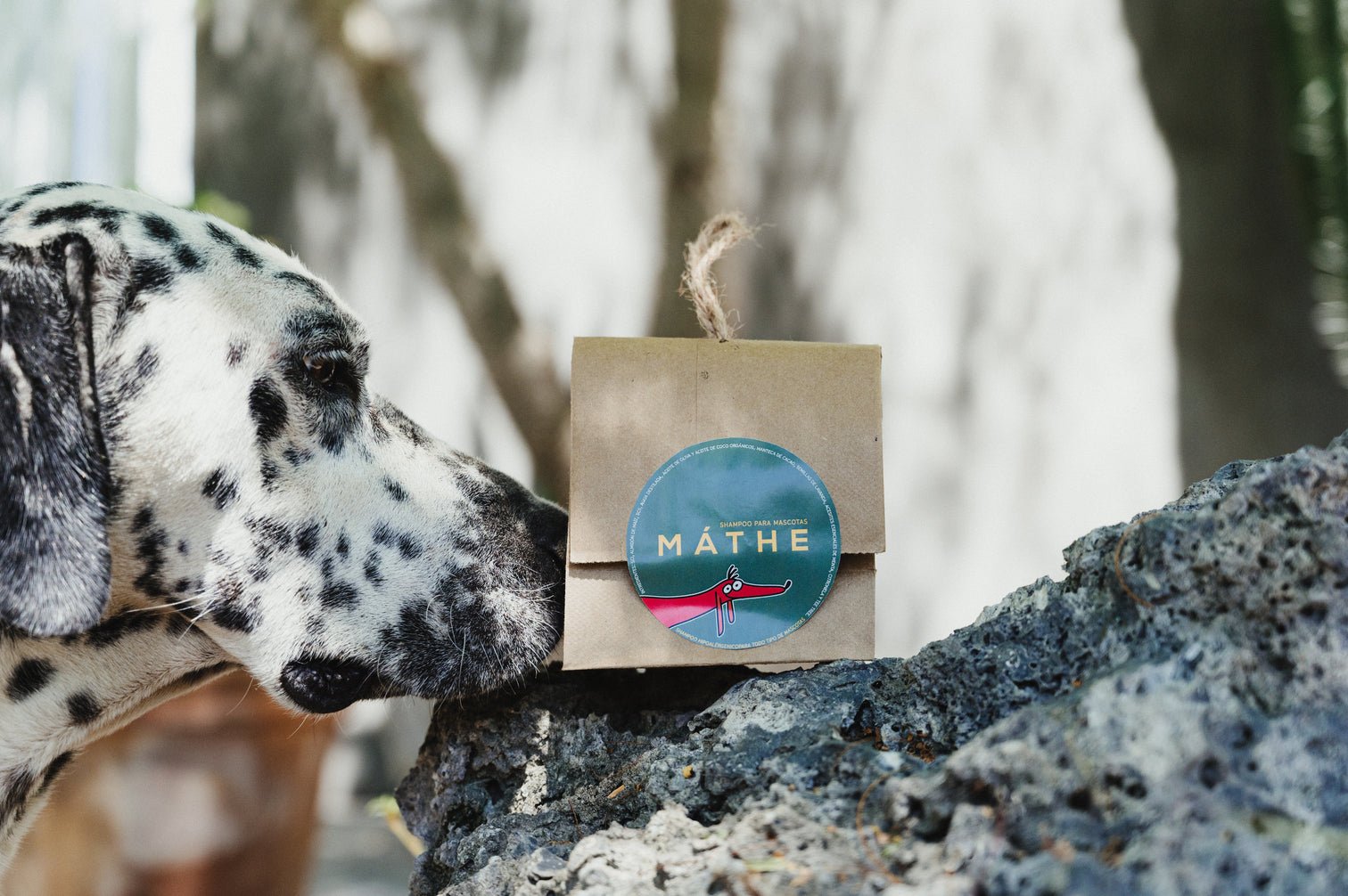 Productos de higiene natural para mascotas